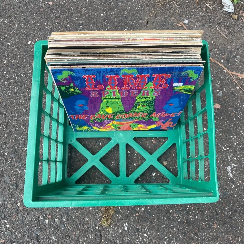 Vinyl Record LP 12